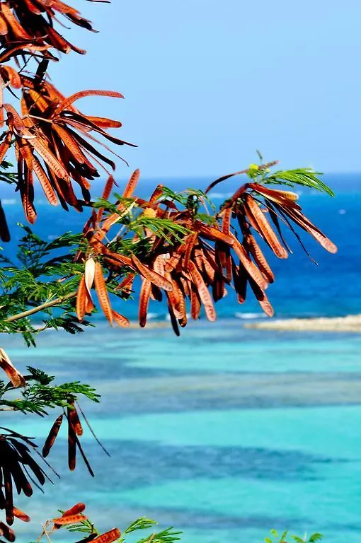 Saint Joseph'S House Hotel Union Island